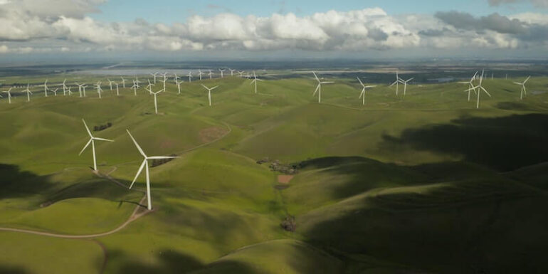 A wind farm.