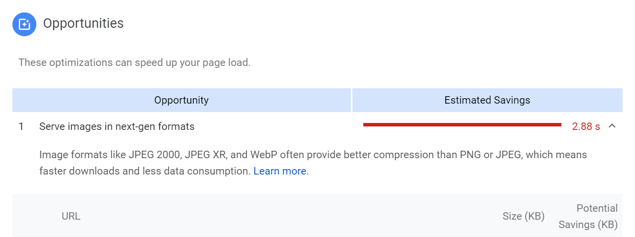 A PageSpeed opportunities "Learn more" option.